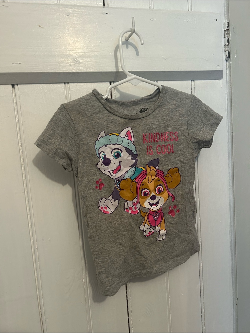 Paw patrol 3t Skye & Everest 'Kindness Is Cool' short sleeve Graphic T-shirt